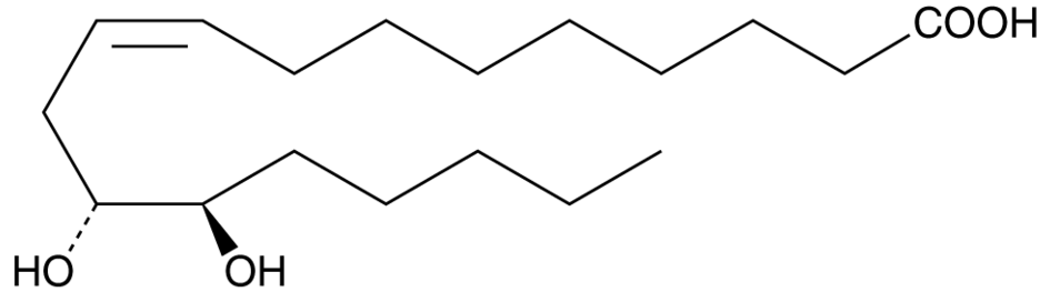 (±)12(13)-DiHOME(solution in methyl acetate)