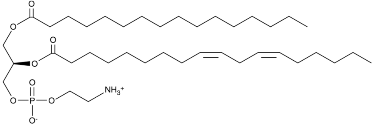 1-Palmitoyl-2-linoleoyl PE