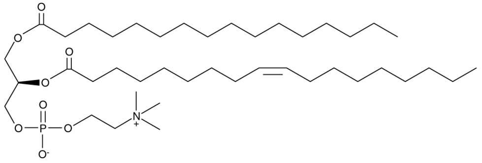 1-Palmitoyl-2-oleoyl-sn-glycero-3-PC