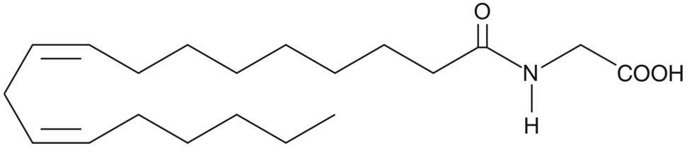 Linoleoyl Glycine