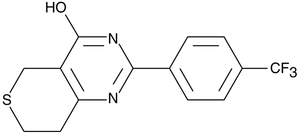 XAV-939