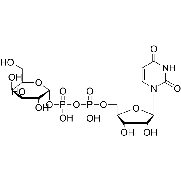 UDP-Gal