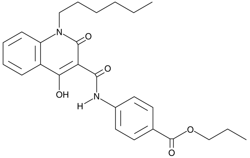 GSA 10