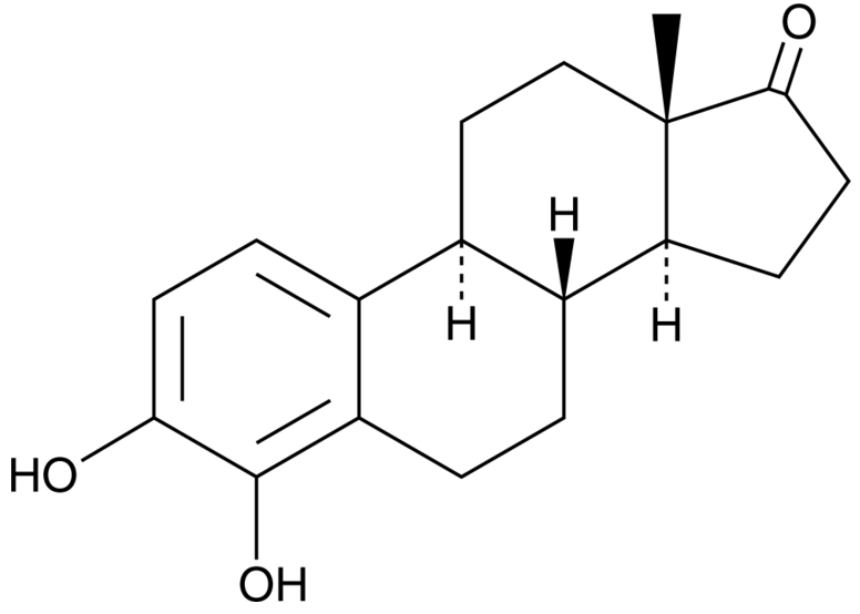 4-hydroxy Estrone