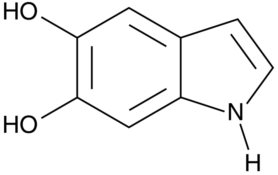 5,6-dihydroxy Indole