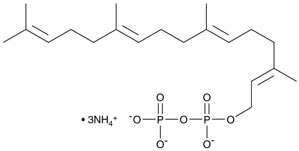 Geranylgeranyl Pyrophosphate (triammonium salt)(solution in isopropanol:NH4OH (70:30))