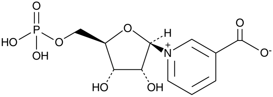 Nicotinic Acid Mononucleotide