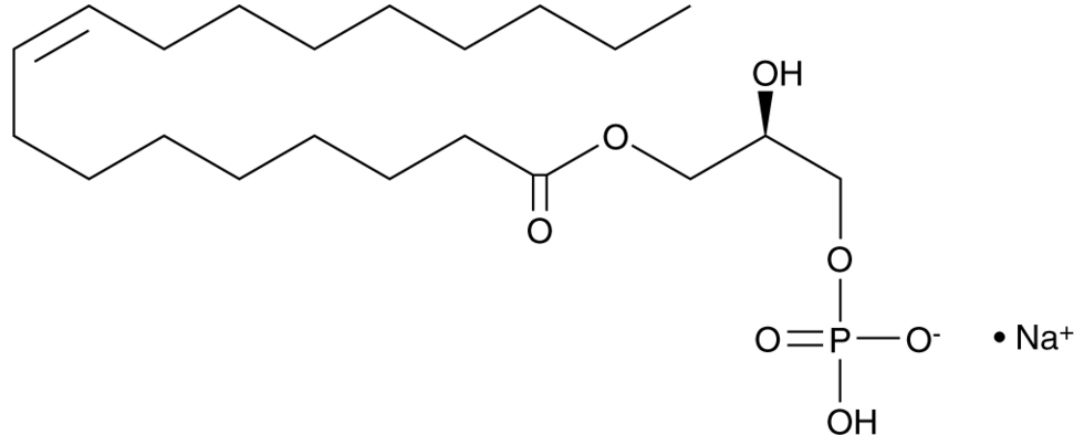 1-Oleoyl lysophosphatidic acid sodium salt