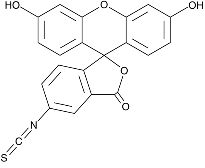 FITC, Fluorescein isothiocyanate