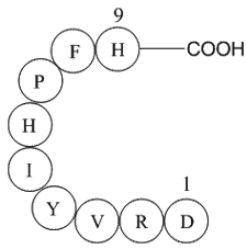 Angiotensin 1/2 (1-9)