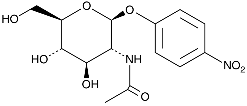 对硝基苯-N-乙酰-β-D-氨基葡萄糖苷