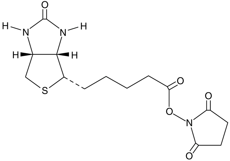 NHS-Biotin