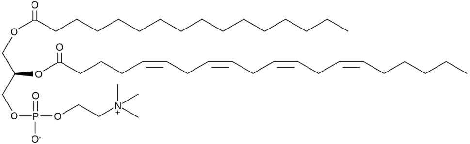 1-Palmitoyl-2-Arachidonoyl-sn-glycero-3-PC