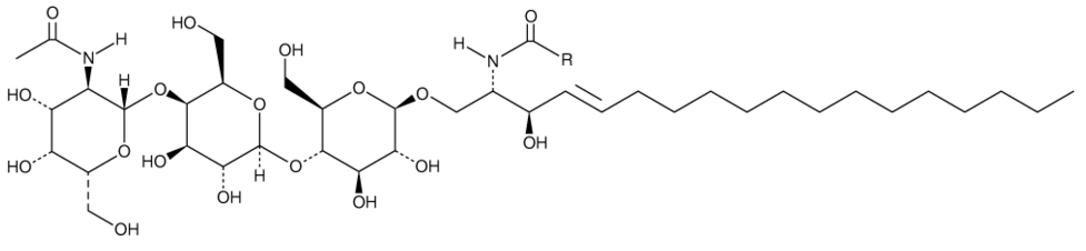 Ganglioside GM2 Asialo Mixture