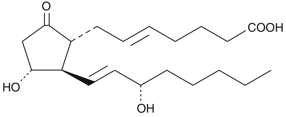 5-trans Prostaglandin E2