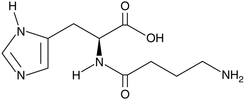 Homocarnosine