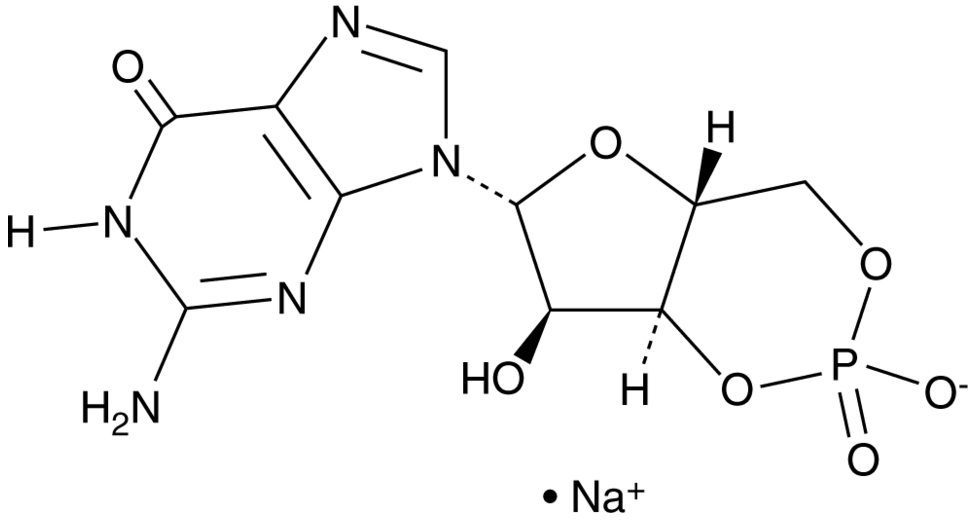 Cyclic GMP (sodium salt)