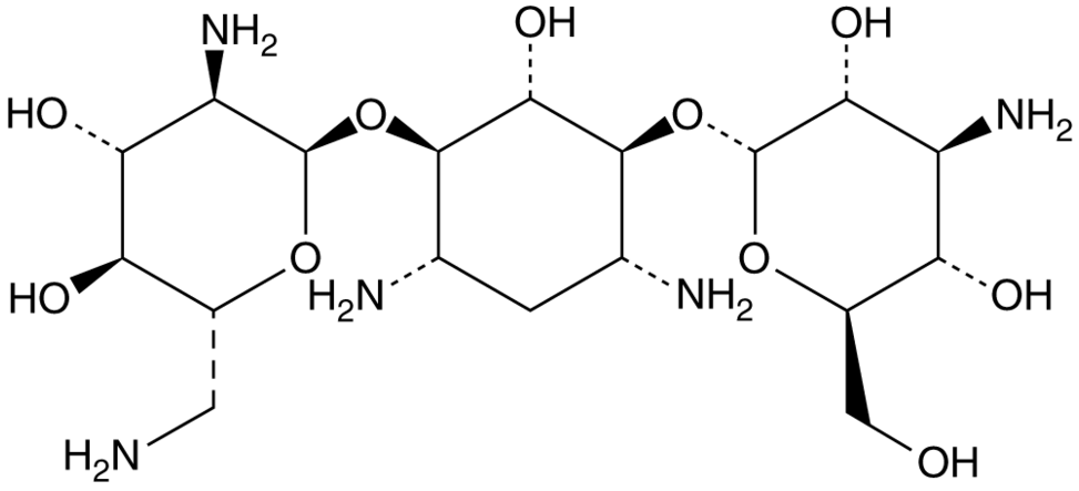 卡那霉素 B