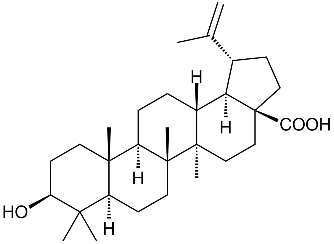 白桦酯酸,Reagent