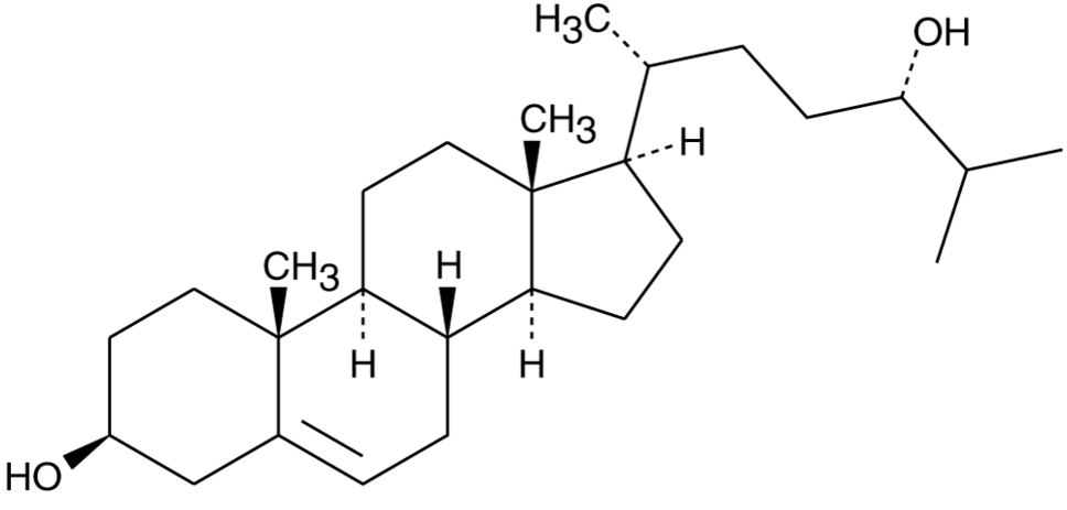 24(S)-hydroxy Cholesterol