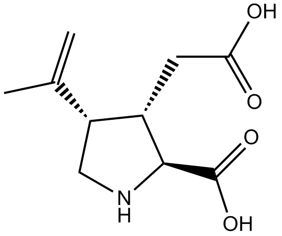 Kainic acid