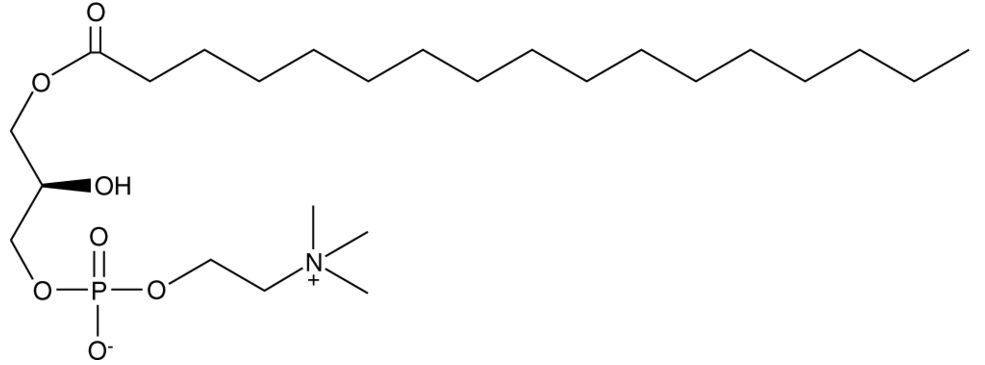 1-Heptadecanoyl-2-hydroxy-sn-glycero-3-PC