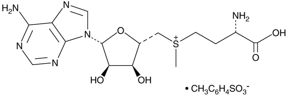 S-(5'-Adenosyl)-L-methionine (sulfate tosylate)