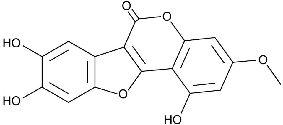 Wedelolactone