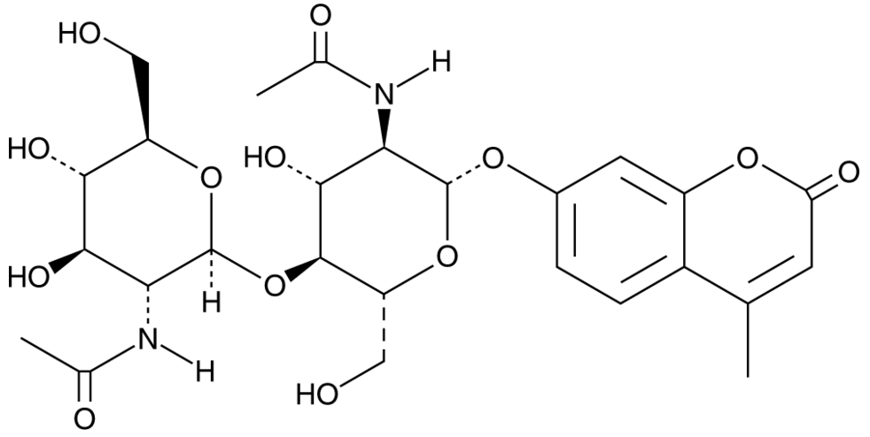 4-Methylumbelliferyl β-D-N,N'-diacetylchitobioside