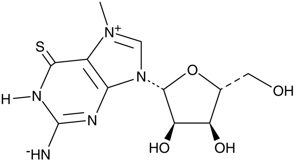 7-methyl-6-Thioguanosine (technical grade)