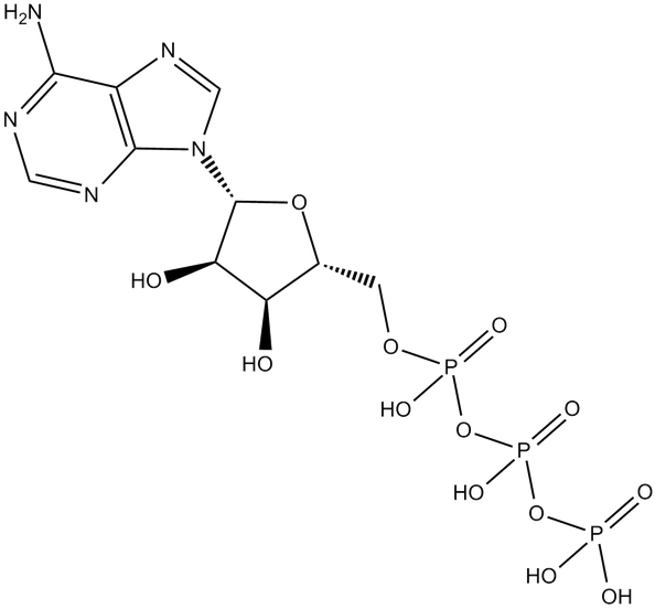 腺苷三磷酸