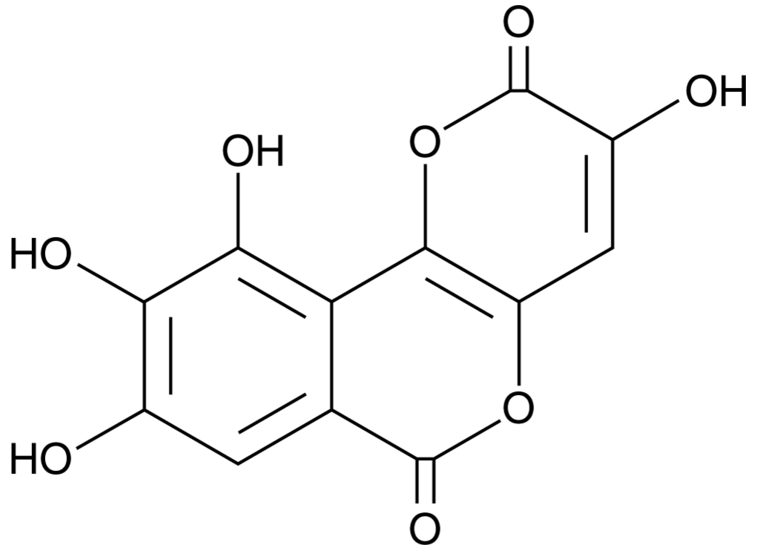 Galloflavin