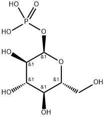 葡萄糖-1-磷酸