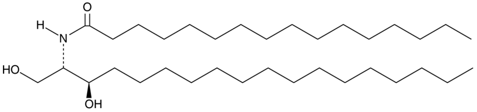 C16 dihydro Ceramide (d18:0/16:0)