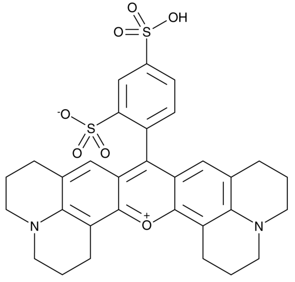 Sulforhodamine 101