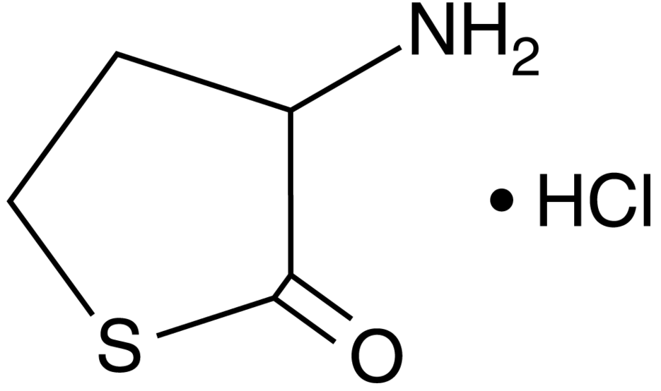 DL-Homocysteine thiolactone (hydrochloride)