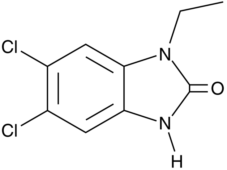 DCEBIO