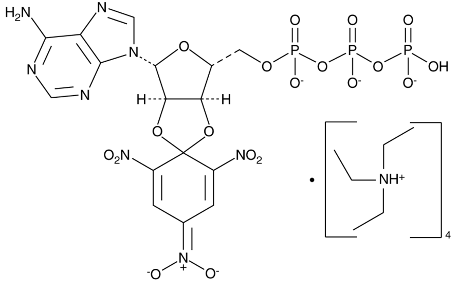 TNP-ATP triethylammonium salt