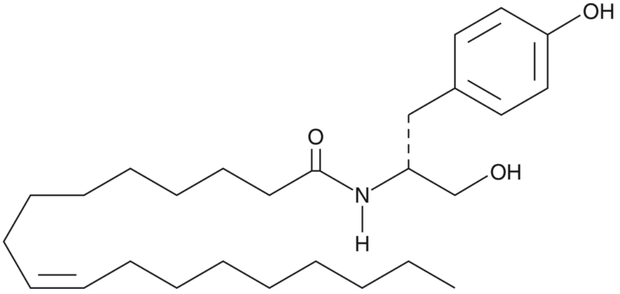 OMDM-2