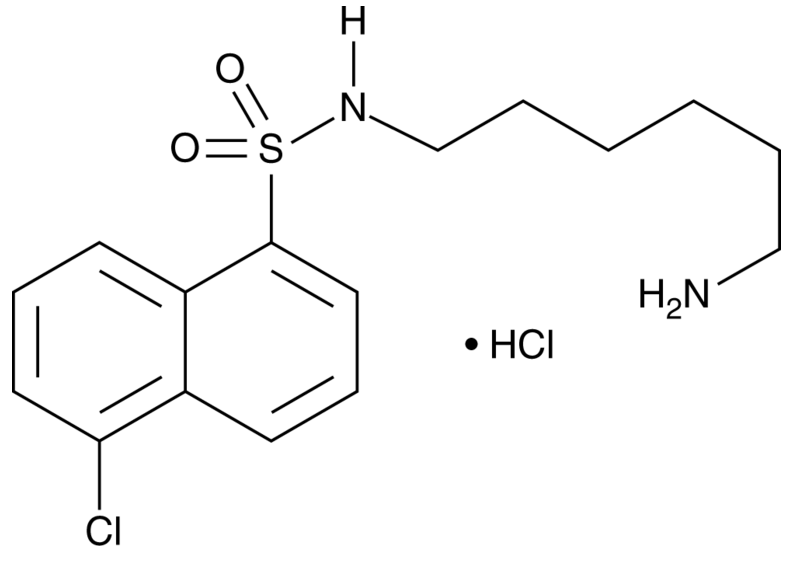 W-7 (hydrochloride)