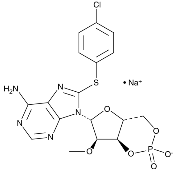 8-CPT-2Me-cAMP, sodium salt