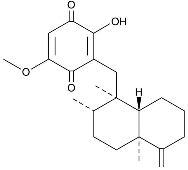 Ilimaquinone