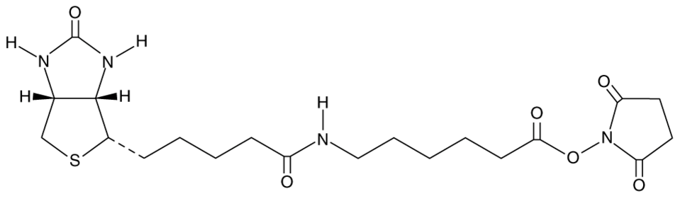 NHS-LC-Biotin