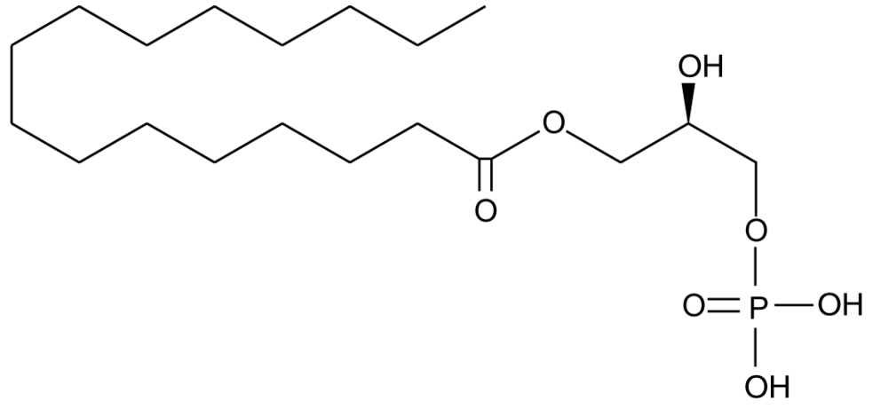 1-Palmitoyl Lysophosphatidic Acid
