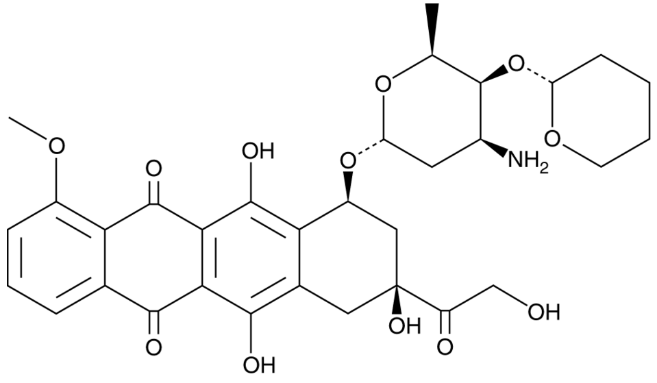 Pirarubicin