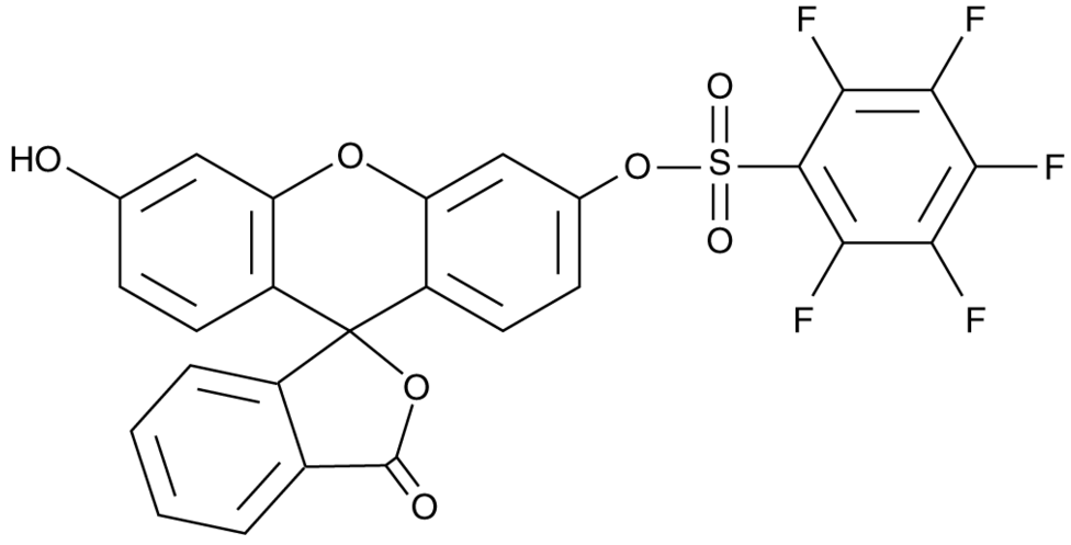 Pentafluorobenzenesulfonyl fluorescein