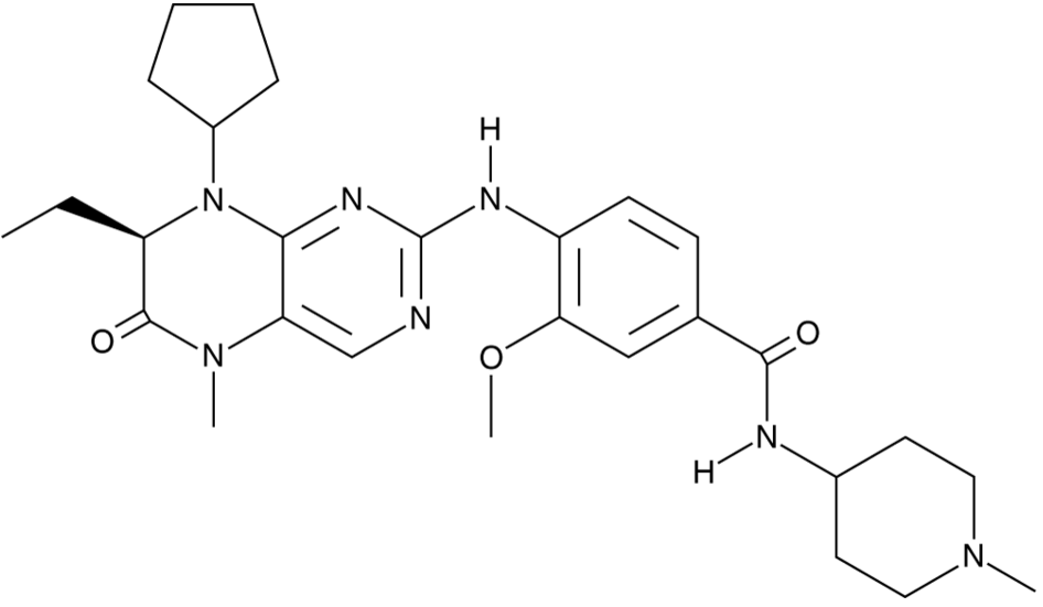 BI 2536