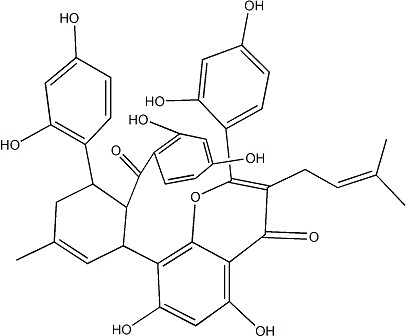 桑黄酮 G