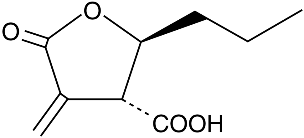 Butyrolactone 3