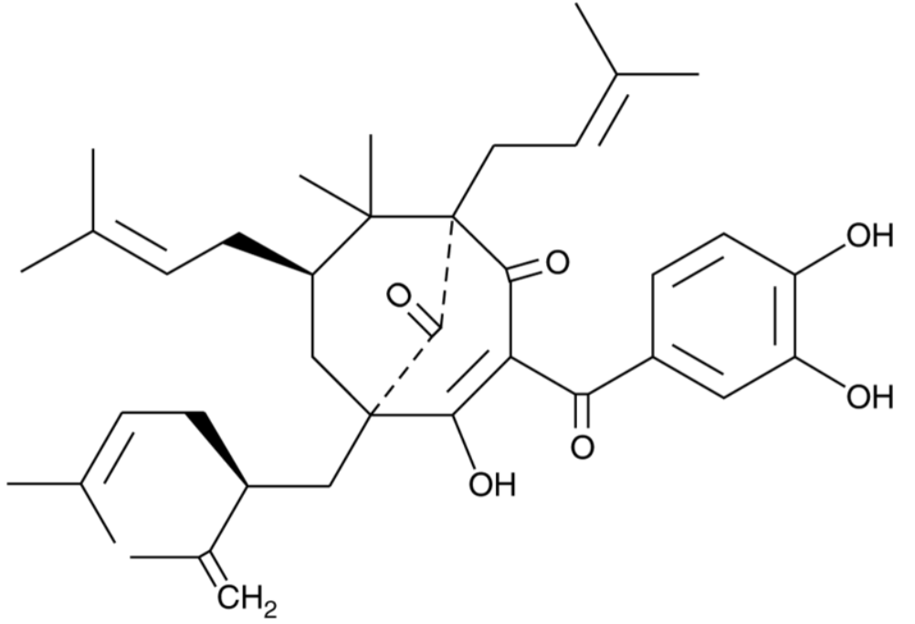 Garcinol